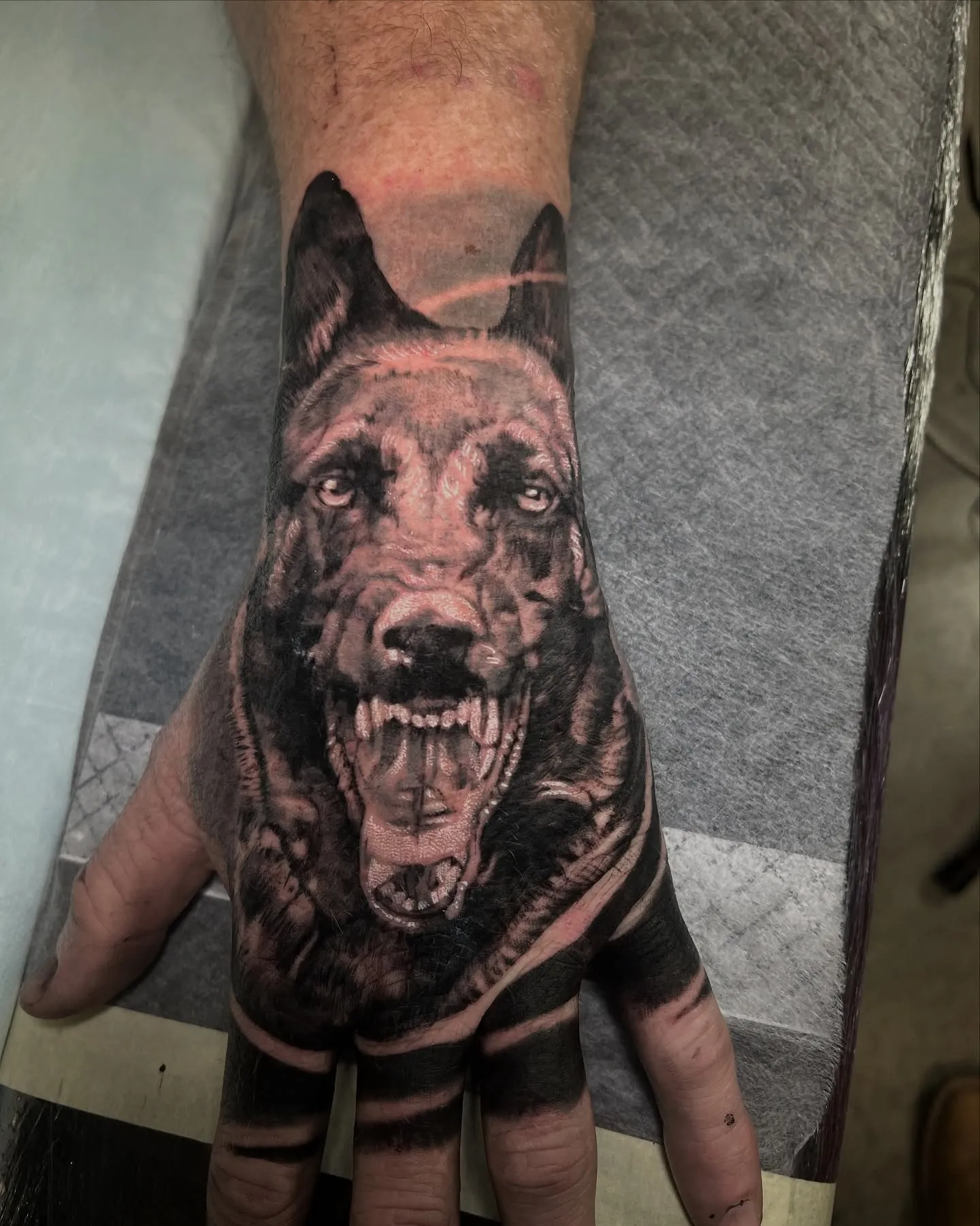 Black and grey dog portrait across the back of the hand