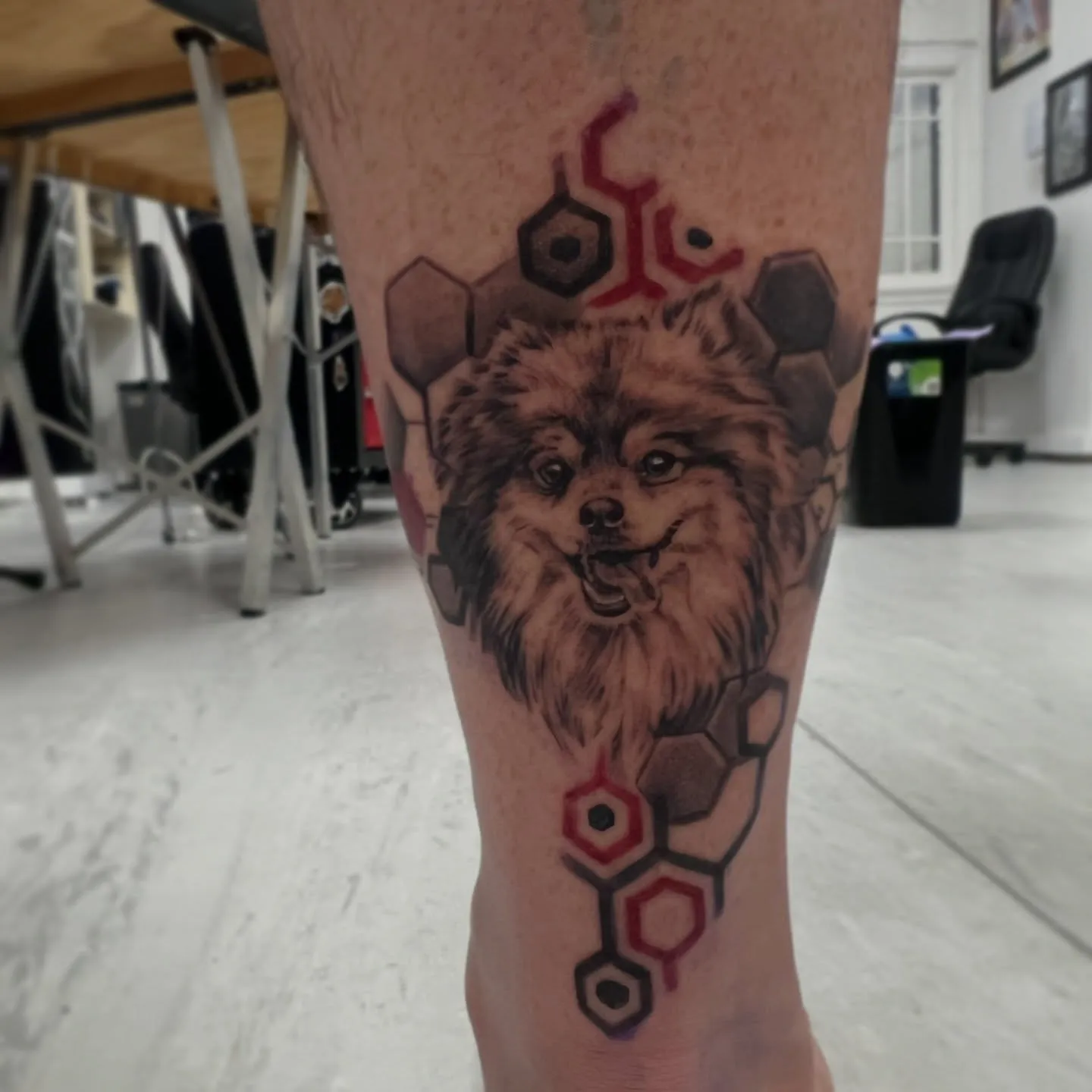 Black and grey dog portrait with red geometric hexagons on the calf